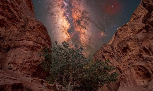 Velký okruh Jordánskem - Khazali kaňon