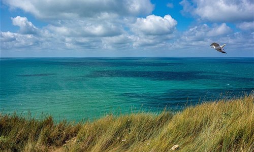 Bretaň a Normandie s koupáním a ostrovem Jersey