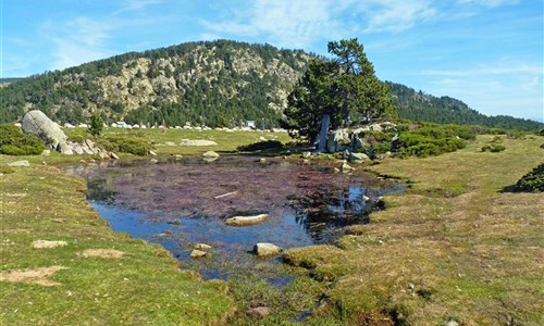 Katarské hrady, Andorra a francouzské Pyreneje