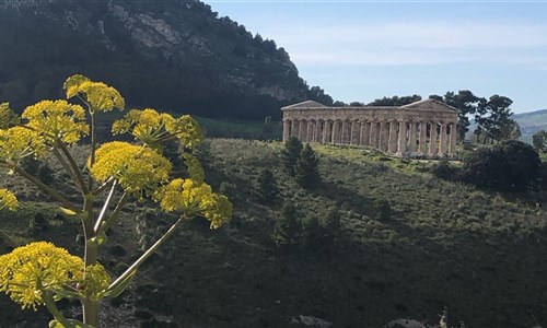 Skryté krásy západní Sicílie - Segesta antický chrám