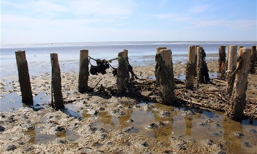 To nejlepší z Dánska s výletem do Malmö
