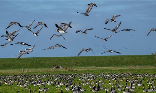 To nejlepší z Dánska s výletem do Malmö