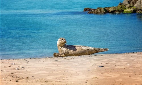 To nejlepší z Dánska s výletem do Malmö