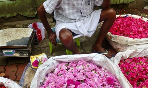 Jižní Indie - hinduistické klenoty a pohoda pláží - prodavač květů