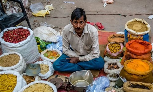 Jižní Indie - hinduistické klenoty a pohoda pláží - prodejce koření