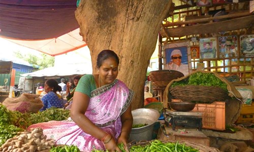 Jižní Indie - hinduistické klenoty a pohoda pláží - prodejkyně zeleniny