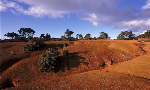 Azorské ostrovy - São Miguel – pěší turistika v zeleném ráji - Santa Maria, Barreiro da Faneca