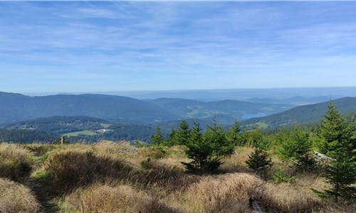 Šumavské toulky za historií, hrady a jezery - Šumava panorama
