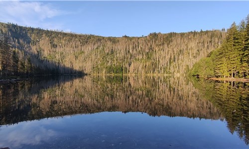 Šumavské toulky za historií, hrady a jezery - Černé jezero