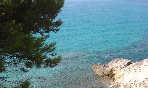 Camp de Mar