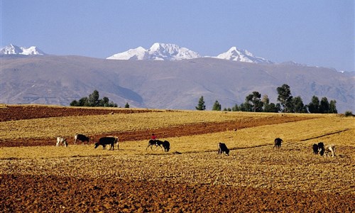 Peru - po stopách Inků s trekem Inca Trail - Andy