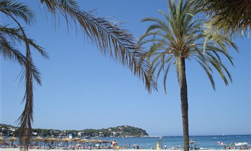 Hotel Playa Santa Ponsa*** 10/11 nocí - Mallorca, Santa Ponsa - pláž