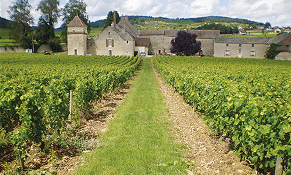 Beaujolais nouveau, burgundské víno a kláštery