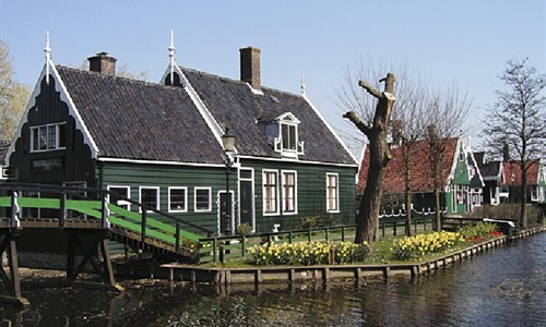 Rozkvetlé Holandsko - Zaandam