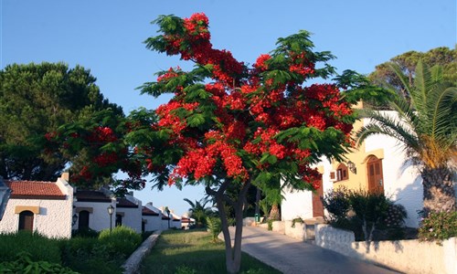 Hotel Acapulco***** - Severní Kypr, Kyrenia, Hotel Acapulco