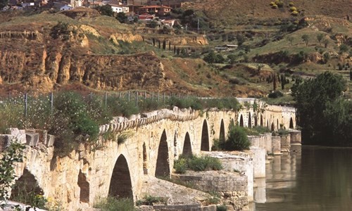 Španělsko a Portugalsko - podél řeky Duero - kultura, víno, gastronomie - letecky - Toro