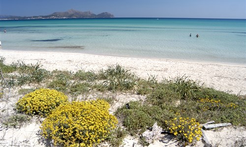 Port de Alcudia - pláž Playa de Muro - Alcudia