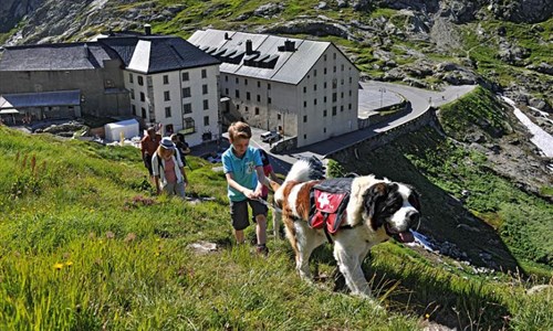 Za bernardýny, nejvyšší horou a nejdelším ledovcem Evropy - Za bernardýny, nejvyšší horou a nejdelším ledovcem Evropy