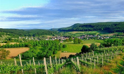 Alsasko, Švýcarsko a Černý les - za víny a poznáním do tří zemí s výjezdem na Dračí horu - Černý les