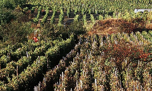 Tokajské dobrodružství v Uhrách a na Slovensku - Tokajské dobrodružství u Uhrách a na Slovensku