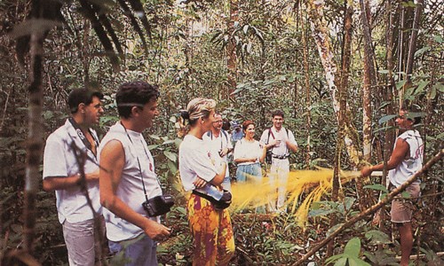 Velký okruh Brazílií - Amazonie - trek pralesem