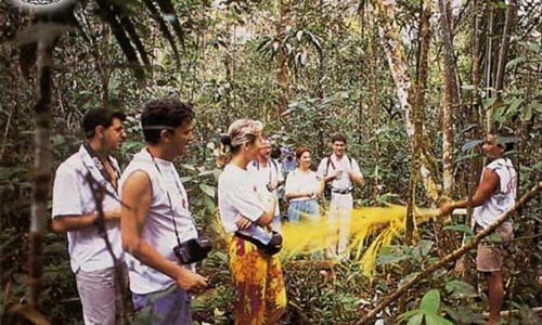 Rio de Janeiro, vodopády Iguacu, Amazonka a Salvador