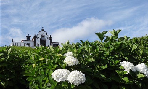 Azorské ostrovy - São Miguel a Flores – pěší turistika v květinovém ráji - Sao Miguel
