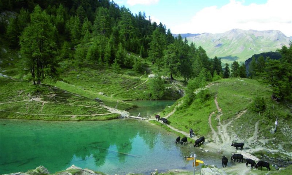 Švýcarské Alpy a termální lázně