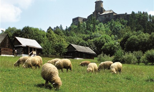 Pieniny, Tatry a spišská gotická cesta - Slovensko, Stará Lubovňa