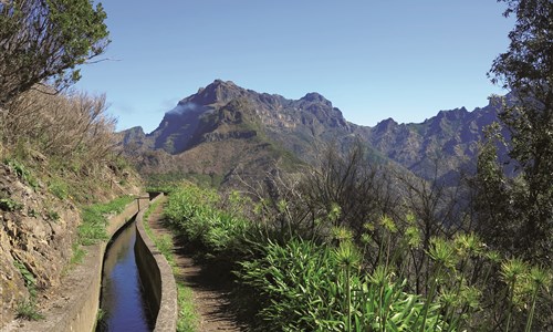 Madeira - květinová a turistická - Madeira, levada