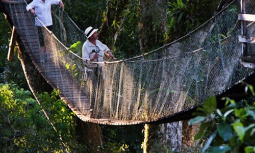 Peru od A do Z včetně Amazonie - Puerto Maldonado - Canopy tour