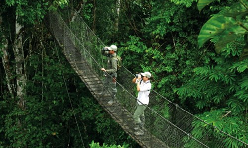 Peru od A do Z včetně Amazonie - Puerto Maldonado - Canopy tour