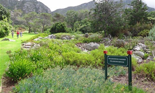 To nejlepší z jižní Afriky - Kapské Město - Botanická zahrada