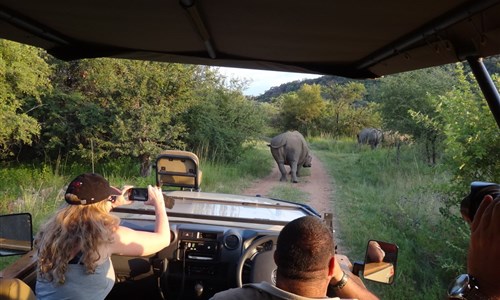 To nejlepší z jižní Afriky - Safari
