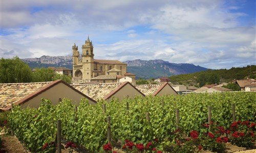 Baskicko a La Rioja - po Svatojakubských stopách mezi útesy a vinicemi - Rioja