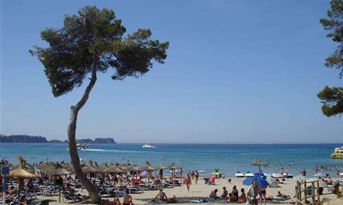 Hotel Gaya*** - Mallorca, Paguera - pláž