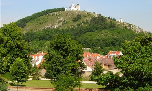 Jižní Morava aneb Bobule 3 - Jižní Morava, Svatý kopeček