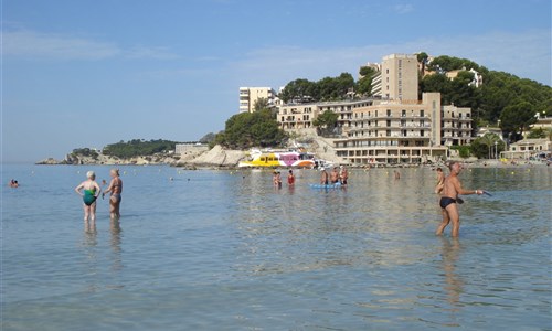 Hotel Mar y Pins*** - Mallorca, Paguera - hotel Mar y Pins