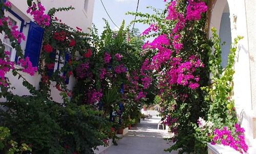 Studia Santorini Houses - Řecko, Santorini - Santorini Houses