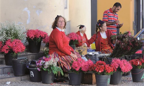 Madeira - květinová a turistická - Madeira