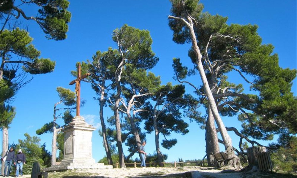 Provence s vůní levandule