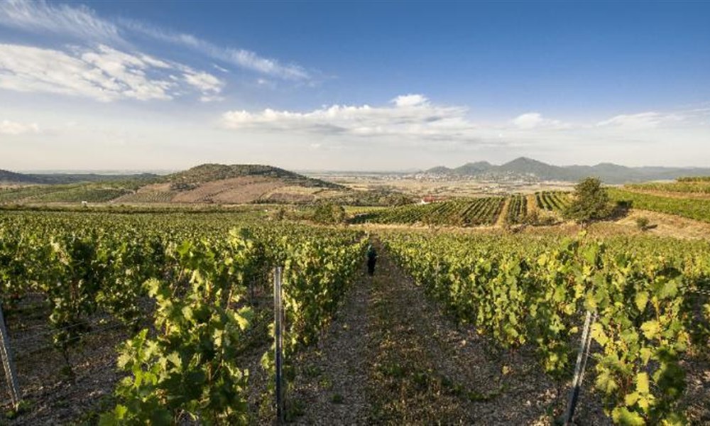 Tokajské dobrodružství v Uhrách a na Slovensku