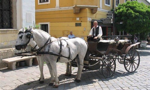 Tokajské dobrodružství v Uhrách a na Slovensku - Tokajské dobrodružství v Uhrách a na Slovensku