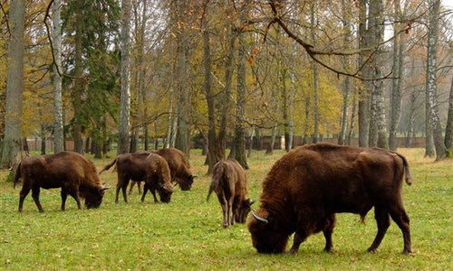 Po stopách Polsko-litevského knížectví - Východní Polsko a Litva