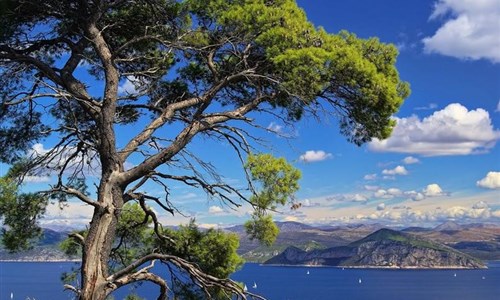 Dubrovník a Elafitské ostrovy s výletem do Černé Hory - Dubrovník a Elafitské ostrovy s výletem do Černé Hory