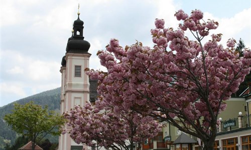 Železnicí Unesco na Semmering a hrad Forchtenstein - Železnicí Unesco na Semmering a hrad Forchtenstein